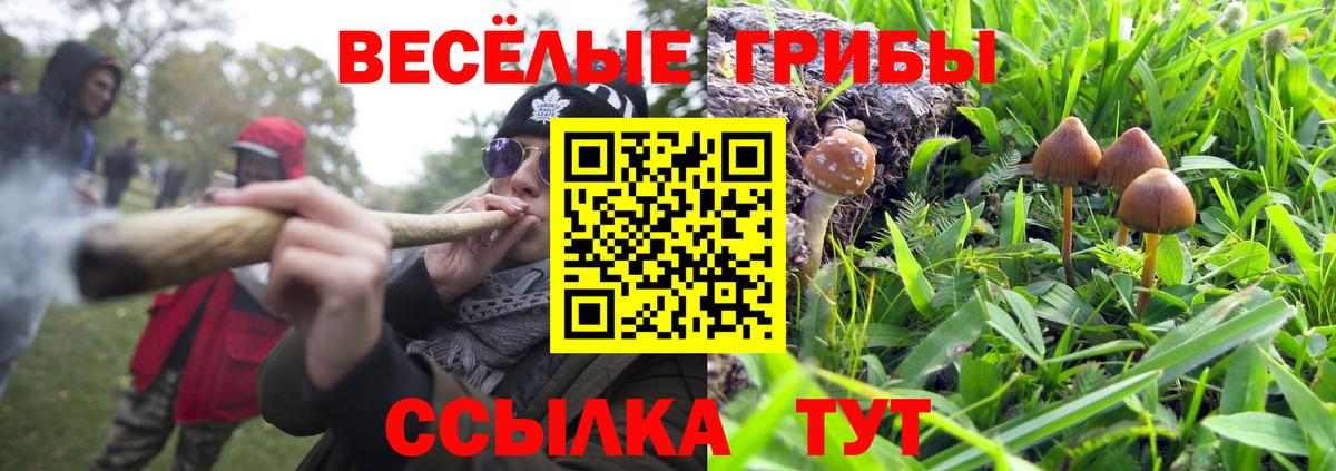 Псилоцибиновые грибы ЛСД Удомля